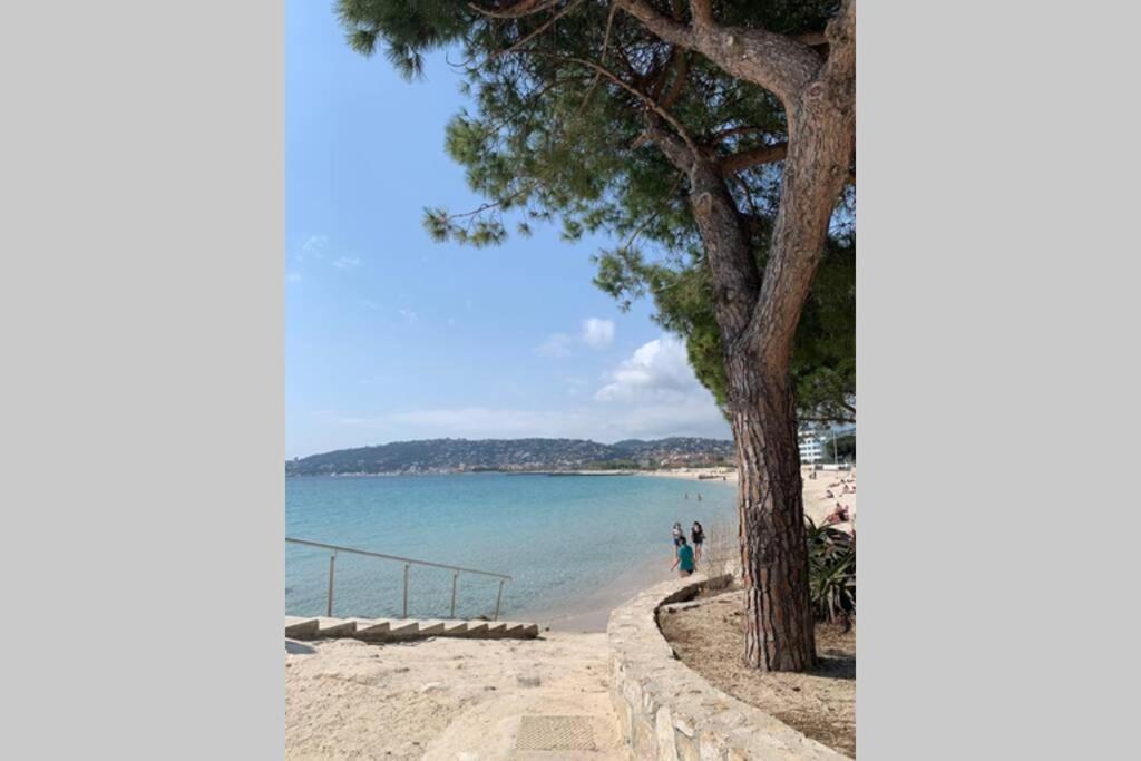 Apartament Juan Les Pins Joli T2 Parking Inclus! Antibes Zewnętrze zdjęcie
